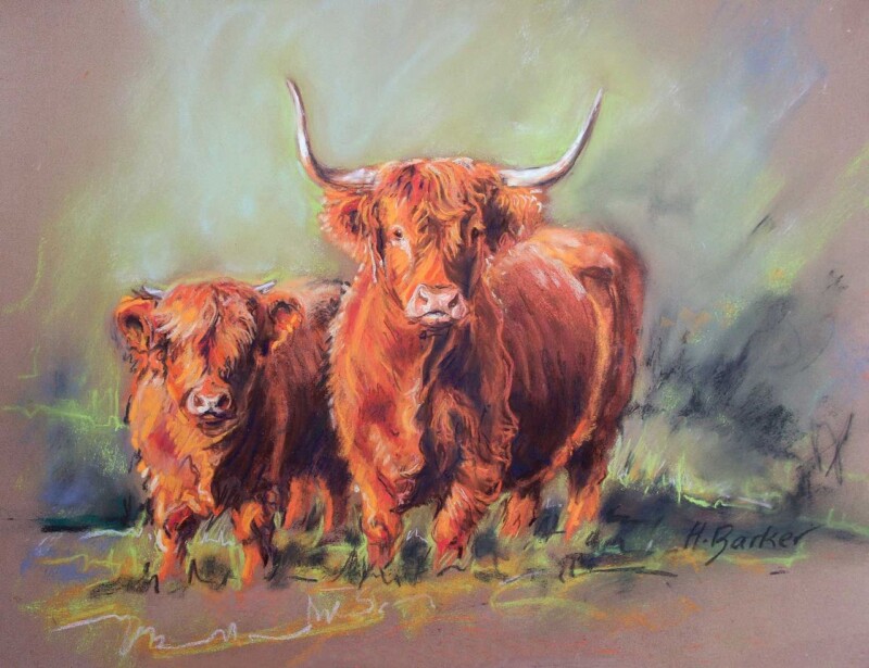 Why Baravalla Og 6th and Her Bull Calf Makes Such a Good Gift for a New Smallholder
